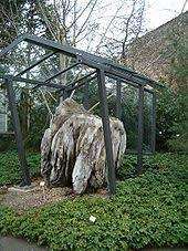 Es werden cookies, die zur erbringung der dienstleistung zwingend erforderlich sind, genutzt. Botanischer Garten Dresden Wikipedia