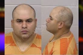 Paulding County Jail Bookings