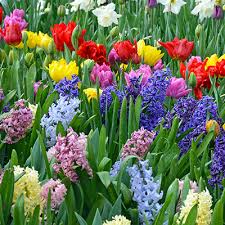 Lighting, in essence, became a commodity. Lithonia Lighting Grow Lights Commercial Lighting The Home Depot