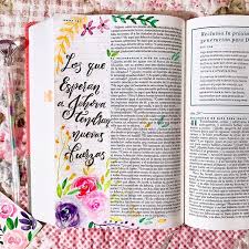 Normal (con señales de uso normal). Las 3 Mejores Y Favoritas Biblias Para Mujer Top Biblia