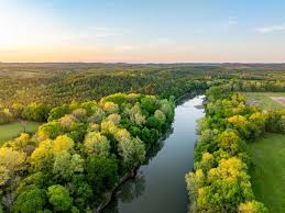 Image result for Pearsonia