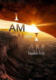 Pin By Ann Mihalos On Gott Bible Inspiration Bible Scriptures Scripture Verses Tons of awesome exodus wallpapers to download for free. bible scriptures
