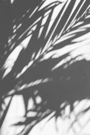 See more ideas about black and white aesthetic, white aesthetic, black and white photo wall. Black And White Aesthetic Pictures Download Free Images On Unsplash