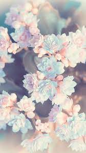 Floral Flower Wallpapers Iphone Android Pink Flowers Wallpaper Flower Background Iphone Flower Wallpaper