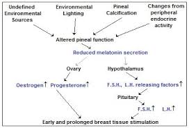 Light Pollution Links To Breast Prostate Cancers By