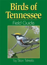Birds Of Middle Tennessee Birds Of Tennessee Field Guide Bird Identification Tennessee