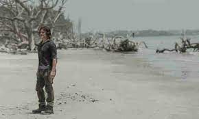 The whole of fear the walking dead 's first two seasons take place in the early stages of year one, when the global outbreak first hits and turns the world into zack snyder's dawn of the dead in. The Walking Dead Wann Kommt Die Finale Staffel 11 Pc Magazin