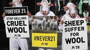 This page is about the various possible meanings of the acronym, abbreviation, shorthand or slang term: Peta Advert Banned For Misleading Claim Bbc News