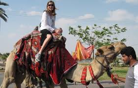 The awesome book of matthew 23 vs 24: How To Swallow A Camel With No Gnats Christianblessings