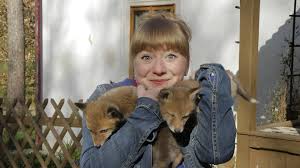 Die katzen im bayerwald tierpark gehören zu einem auswilderungsprogramm, und paula kommt hautnah an sie ran. Paula Und Die Wilden Tiere Wie Schlau Ist Der Fuchs Anna Paula Pia Und Die Wilden Tiere Wilde Natur Schauen Br Kinder Eure Startseite