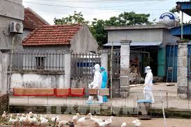 Hà nội hết giãn cách. Nhá»¯ng Tá»‰nh Thanh Phá»' Thá»±c Hiá»‡n Gian Cach Xa Há»™i Phong Dá»‹ch Covid 19 Ä'áº¿n Sang 8 5