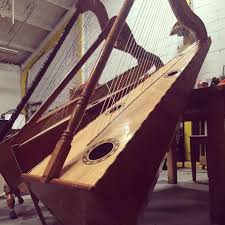 Image result for Harpachne