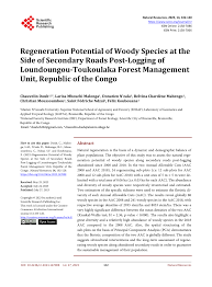 Image result for Thomandersia laurentii