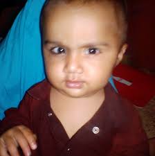 Ready for a simple yet flavor-packed dish that tastes like a trip to the  Mediterranean? This Panko Shrimp and Feta Bake combines fresh shrimp, juicy  tomatoes, and tangy feta, topped with a