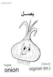 رسومات للتلوين خضروات بصل onion oignon رسومات خضروات خضار للتلوين جاهزة للطباعة مع الاسماء in 2021 art color character