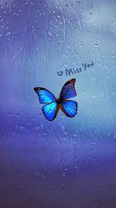 Enjoy and share your favorite beautiful hd wallpapers and background images. Best Butterfly Iphone Hd Wallpapers Ilikewallpaper