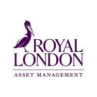 As an associate, you will quickly become a key member of the edison team. Royal London Asset Management Linkedin