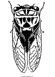 Select from 35723 printable coloring pages of cartoons, animals, nature, bible and many cicada sits on tree stem coloring page from cicada category. Drawings Of Grasshoppers And Cicadas Imprimirdibujos Coloring And Drawing