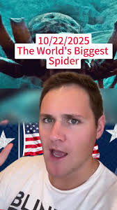 蜘蛛でかい海外