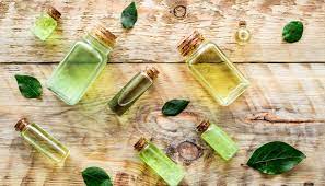 Tea Tree Oil For Skin Benefits Of Tea Tree Oil Nykaa S Beauty Book