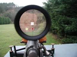 Best air rifles for killing rats and pest control. Air Rifle Code Of Practice The British Association For Shooting And Conservation