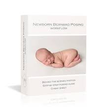 newborn beanbag posing workflow guide bonus cheat sheet