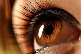 Maybe you would like to learn more about one of these? 7 Ways To Accentuate Your Best Features All Women Stalk Brown Eyes Tumblr Beautiful Brown Eyes Pretty Eyes