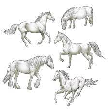 Kids i will also teach you to draw a cartoon horse. Sketchbook Original How To Draw Horses Monika Zagrobelna