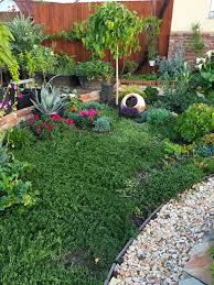 Front yard landscape no grass … small garden front yard, small front yard landscaping, side. No Grass Grasses Garden Backyard Garden Garden Design