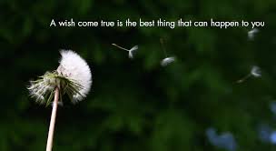 The wish fairy ask the fairies to grant your wish. How To Make A Wish Come True Charmed Charlee