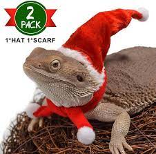 Visit our site for growth and engagement services! Bearded Dragon Lizard Santa Hat Scarf Christmas Costume Set Xmas Clothes Outfit Ebay