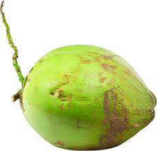 Coconut Png Green Coconut Green Png