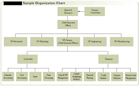 Organization Of The Financial Management Function In