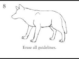 How To Draw A Wolf Step By Step Beginner Tutorial Wolf Painting Wolf Drawing Drawings