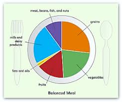 A Balanced Diet For Kids Is So Important