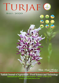 Image result for Albertisia