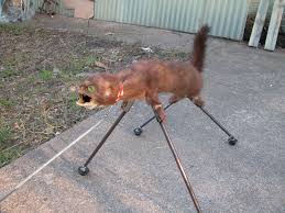 Image result for atomic death weasels