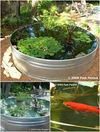 Or a rain forest garden water feature. 20 Charming And Cheap Mini Water Garden Ideas For Your Home And Garden Diy Crafts