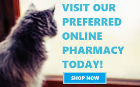 Every company owner desires to grow their business into a huge enterprise. Plattsmouth Animal Hospital Contact Info Plattsmouth Animal Hospital