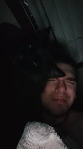 Female black cat found pretty skinny Sandow rd.and E. Olson Maybe a year or  so