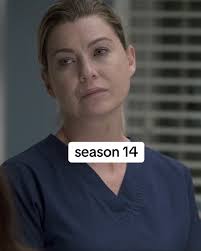 Meredith Grey Through The Seasons