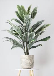 Pin On Home Decor Styling