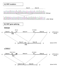Uv / vis, vwd, dad, pda hplc detector modern chromatography uv/vis detectors offer the operator a choice of one to several hundred different signal this provides a nice balance between selectivity and sensitivity. An Apparently Silent Nucleotide Substitution C 7056c T In The Von Willebrand Factor Gene Is Responsible For Type 1 Von Willebrand Disease Haematologica