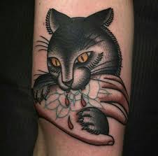 Pin On Cattoo
