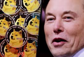 Elon Musk Dogecoin Investors File Lawsuit Accusing Elon Musk of Insider Trading