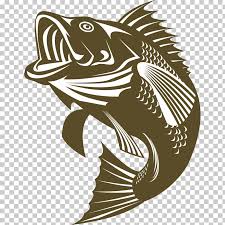 Download 11 Bass Fish Svg Free Png