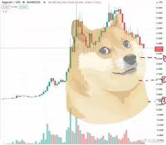Named after a meme of the japanese dog breed shiba inu and with supporters including tesla's elon musk, the cryptocurrency has risen over 10x in the last three months, with its market cap standing at almost $80 billion on thursday. What S Driving The Dogecoin Mania