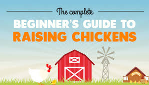 After the interview, start your free trial to get access to this lesson and much more. Beginner S Guide To Raising Backyard Chickens