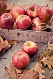 Epingle Par Ansi Van Der Heyde Sur Rouge Photos De Fruits Et Legumes Fruits D Automne Couleur Automne