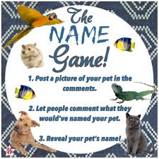 Name Game Interactive Post For Facebook Vip Group Thirty One Spring Summer 2018 Www Mythirt Interactive Posts Facebook Engagement Posts Online Party Games